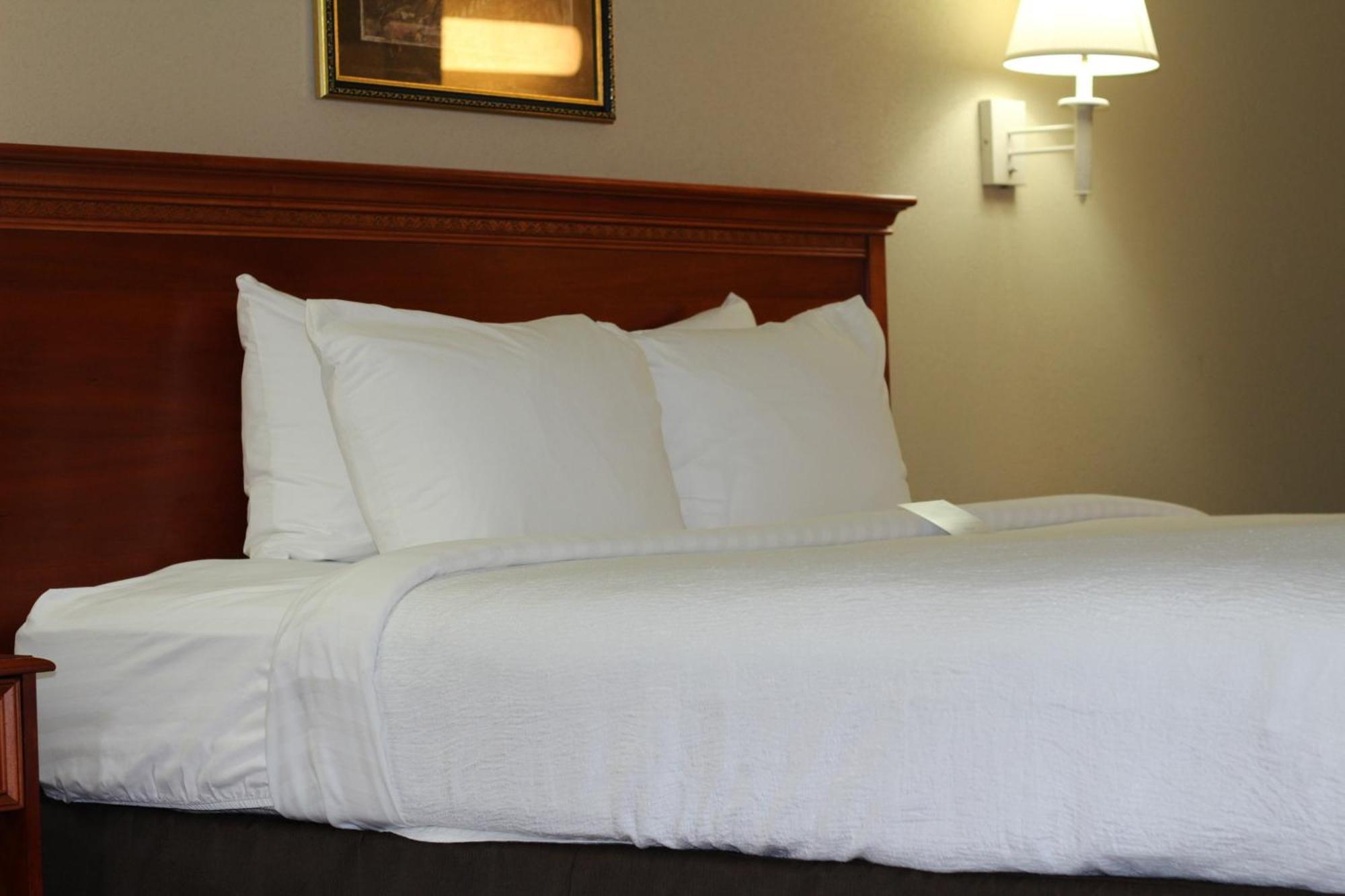 Country Inn & Suites By Radisson, Lackland Afb San Antonio , Tx Phòng bức ảnh